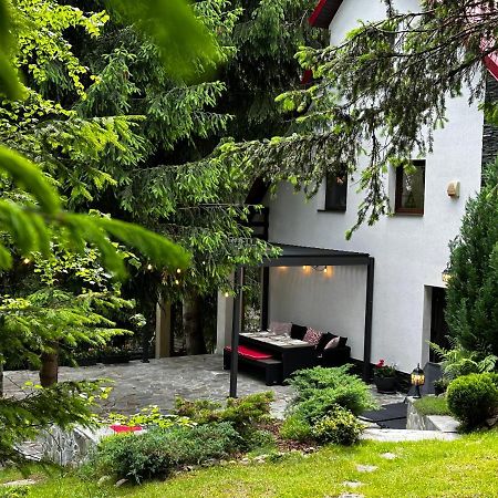 Mountain Chalet - Cabana La Muntele Baisorii Muntele Cacovei  Bagian luar foto