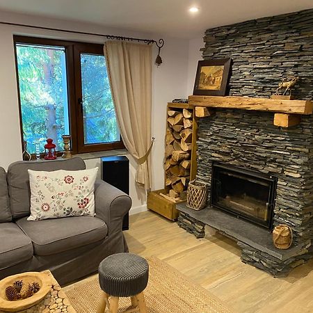 Mountain Chalet - Cabana La Muntele Baisorii Muntele Cacovei  Bagian luar foto