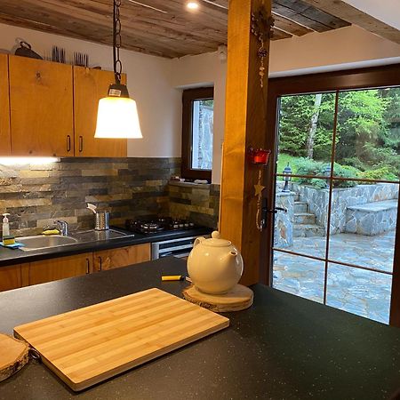 Mountain Chalet - Cabana La Muntele Baisorii Muntele Cacovei  Bagian luar foto