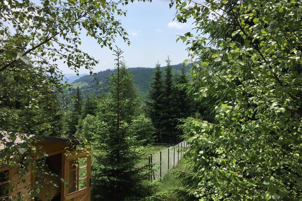 Mountain Chalet - Cabana La Muntele Baisorii Muntele Cacovei  Bagian luar foto