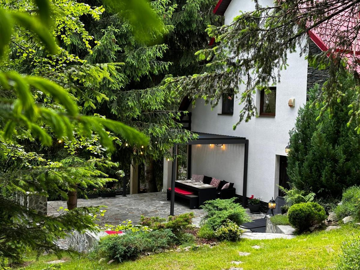 Mountain Chalet - Cabana La Muntele Baisorii Muntele Cacovei  Bagian luar foto