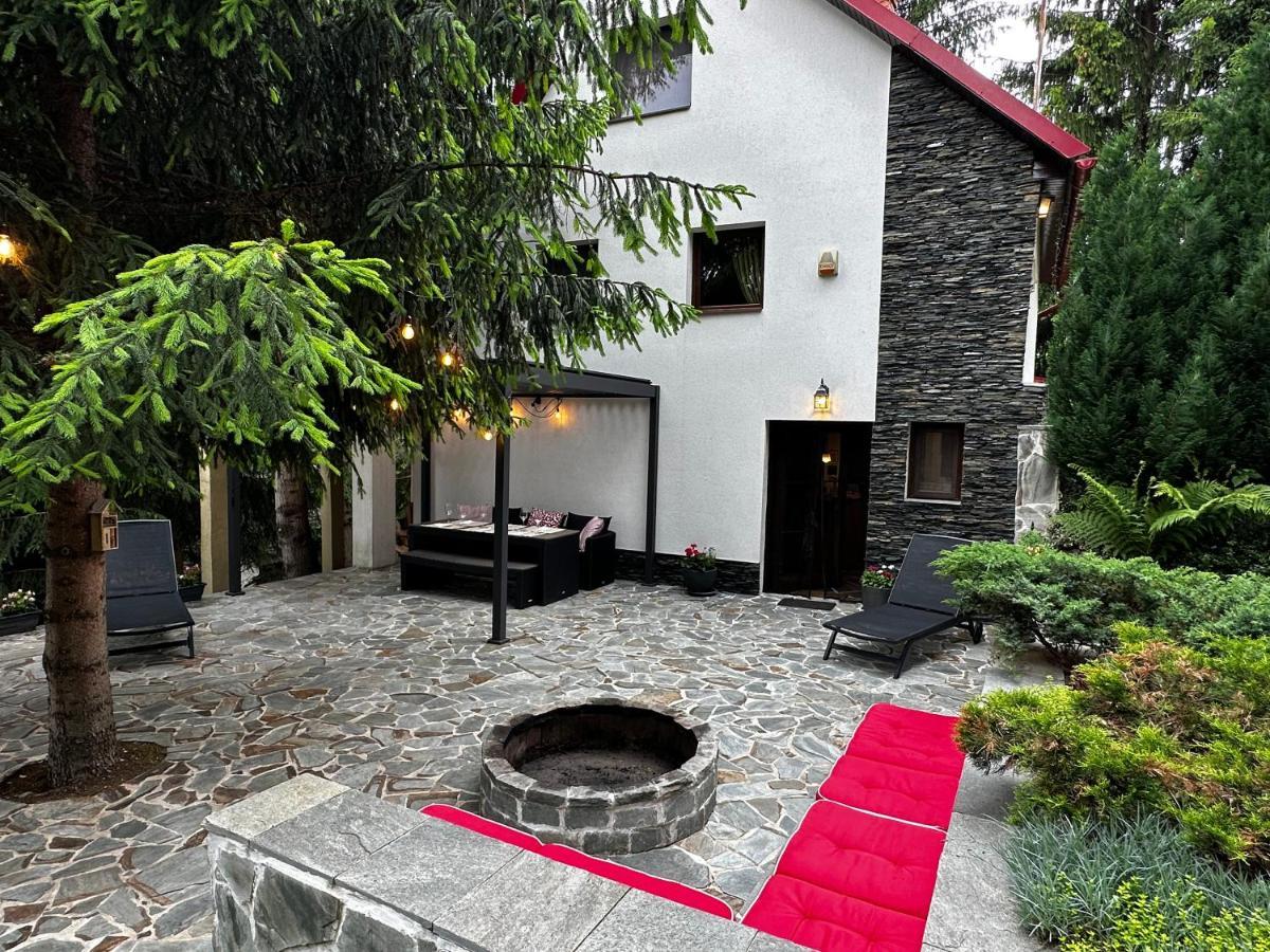 Mountain Chalet - Cabana La Muntele Baisorii Muntele Cacovei  Bagian luar foto